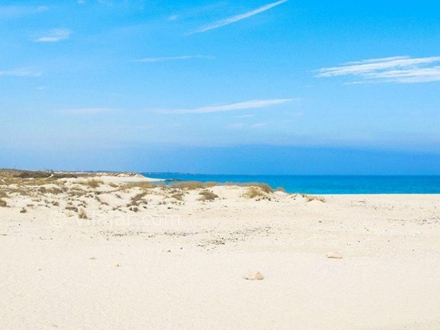 عکس شماره 5 - جزیره لاوان هرمزگان