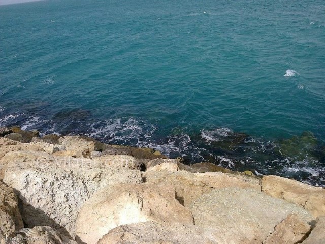 عکس شماره 7 - جزیره لاوان هرمزگان