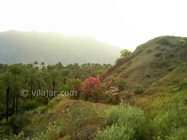 عکس شماره 3 - تنگه بنیون بوشهر