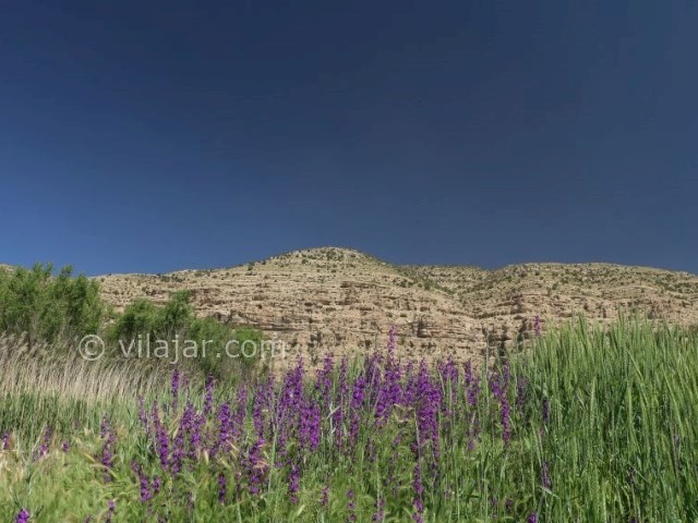 عکس شماره 3 - دشت ارژن شیراز
