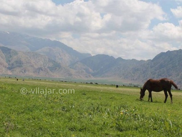 عکس شماره 6 - دشت ارژن شیراز