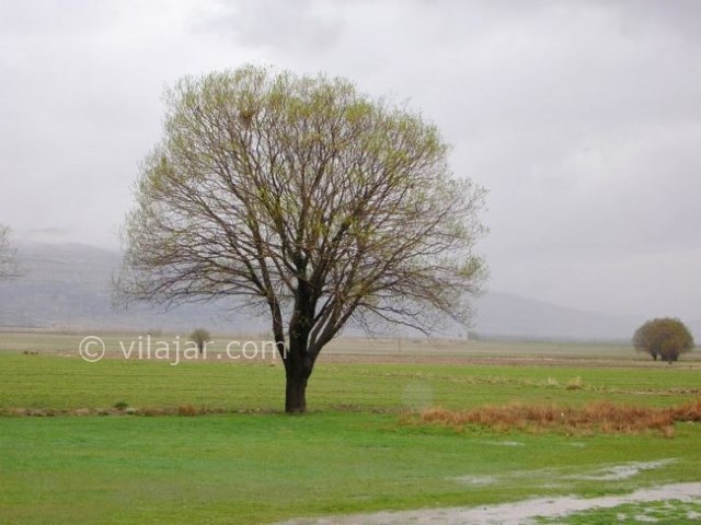 عکس شماره 9 - دشت ارژن شیراز