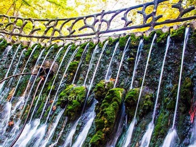 عکس شماره 4 - پارک جنگلی بابا امان بجنورد