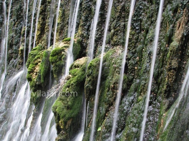 عکس شماره 9 - پارک جنگلی بابا امان بجنورد