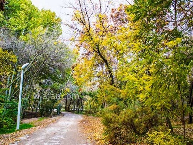 عکس شماره 12 - پارک جنگلی بابا امان بجنورد