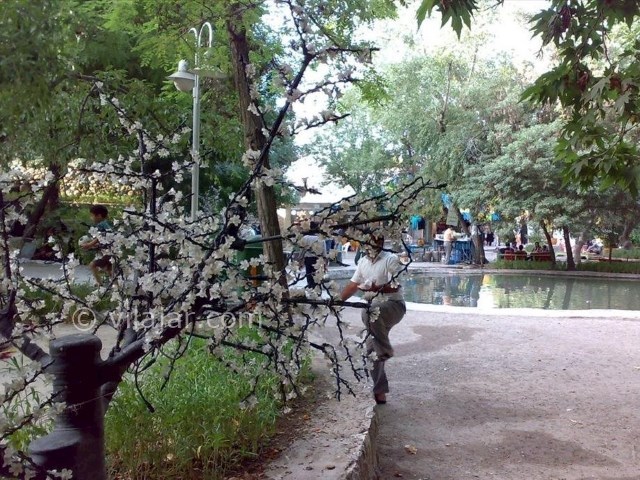 عکس شماره 14 - پارک جنگلی بابا امان بجنورد