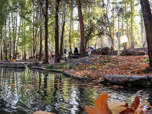 عکس شماره 19 - پارک جنگلی بابا امان بجنورد