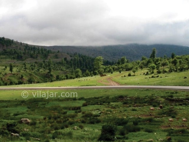 عکس شماره 3 - جنگل اولنگ شاهرود