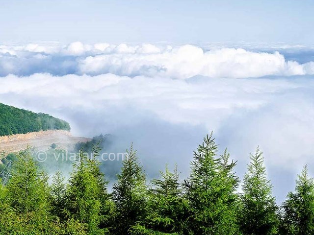 عکس شماره 5 - جنگل اولنگ شاهرود