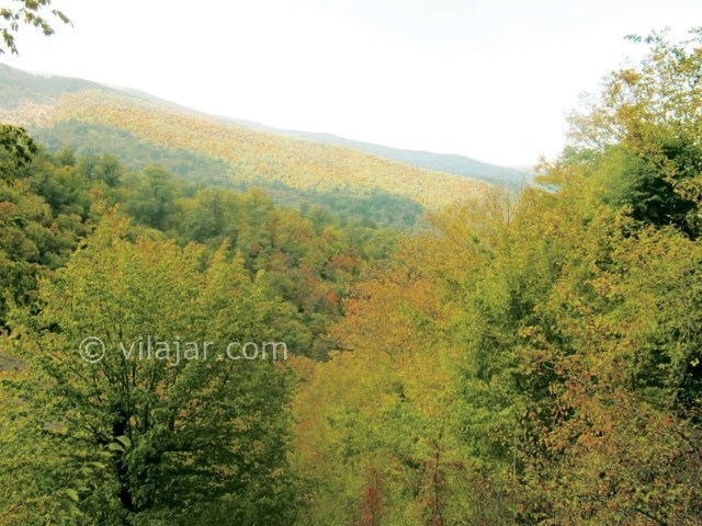 عکس شماره 8 - جنگل اولنگ شاهرود