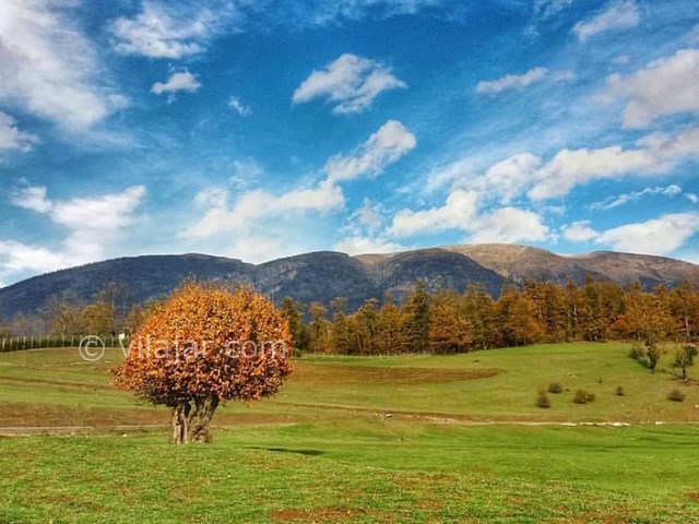 عکس شماره 3 - روستا و ییلاق سی دشت رودبار