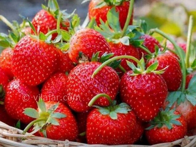 عکس شماره 8 - روستا و ییلاق سی دشت رودبار