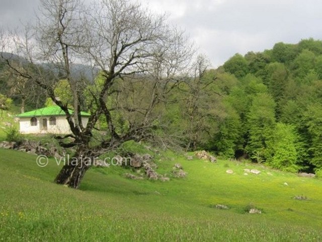 عکس شماره 10 - روستا و ییلاق سی دشت رودبار