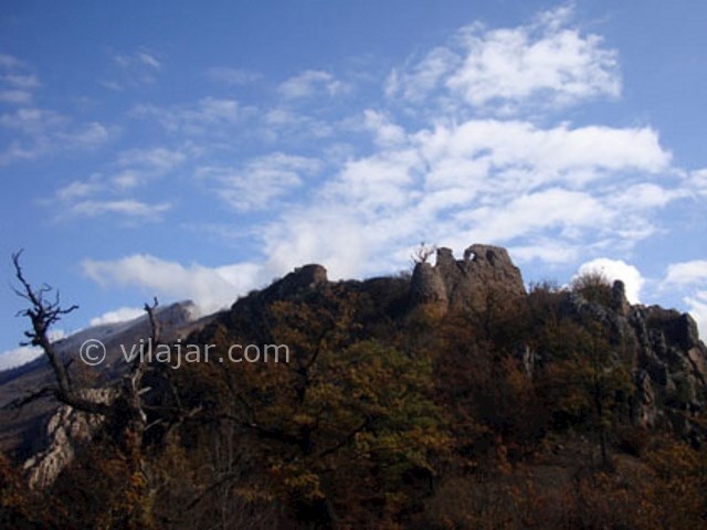 عکس شماره 4 - جنگل فینسک مهدیشهر