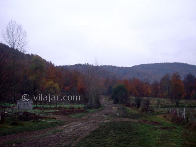 عکس شماره 6 - جنگل فینسک مهدیشهر