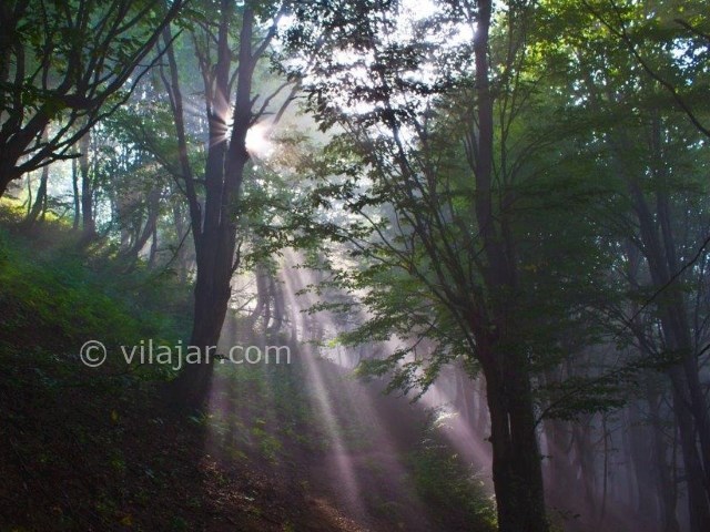 عکس شماره 5 - آبشار آلوچال شاهرود