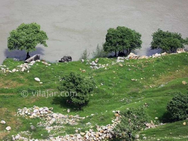 عکس شماره 8 - روستا و سد داریان