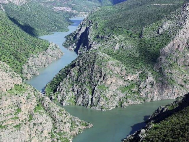 عکس شماره 17 - روستا و سد داریان