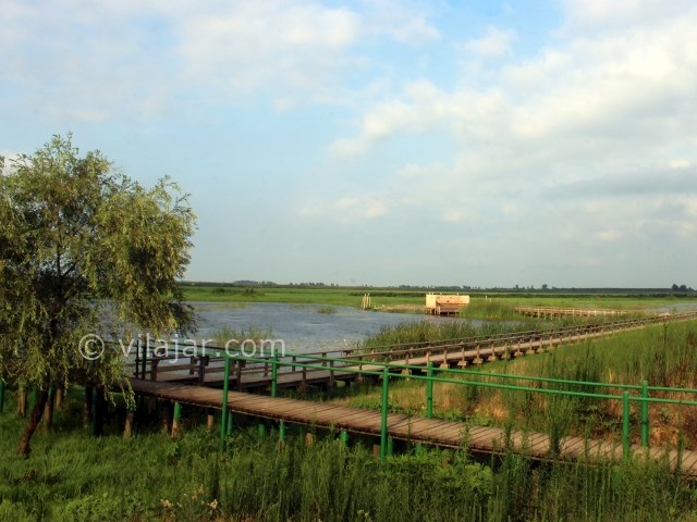 عکس شماره 5 - تالاب هندخاله صومعه سرا