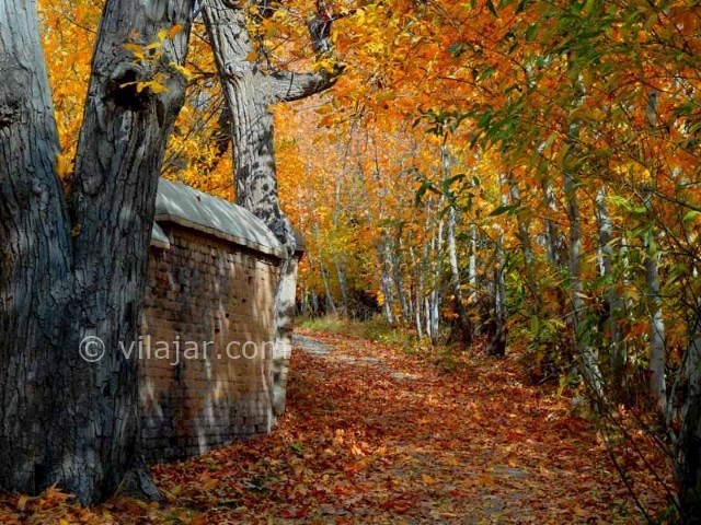 عکس شماره 6 - منطقه گلدشت بروجرد