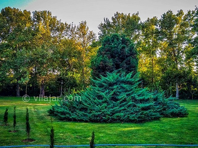 عکس شماره 3 - پارک لاله در تهران