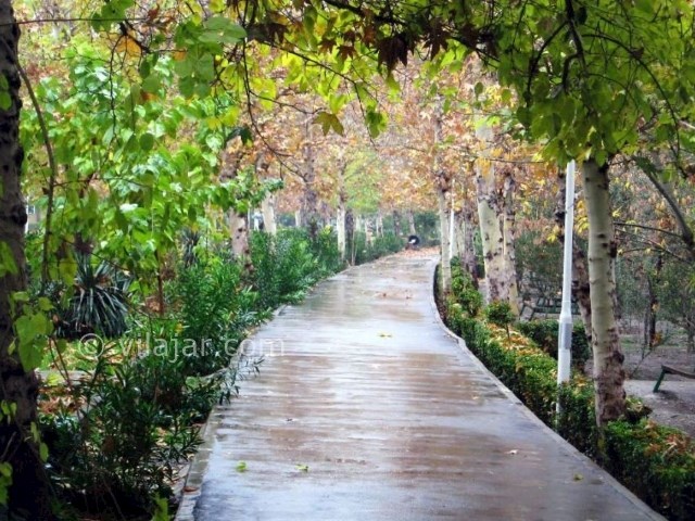 عکس شماره 16 - پارک لاله در تهران