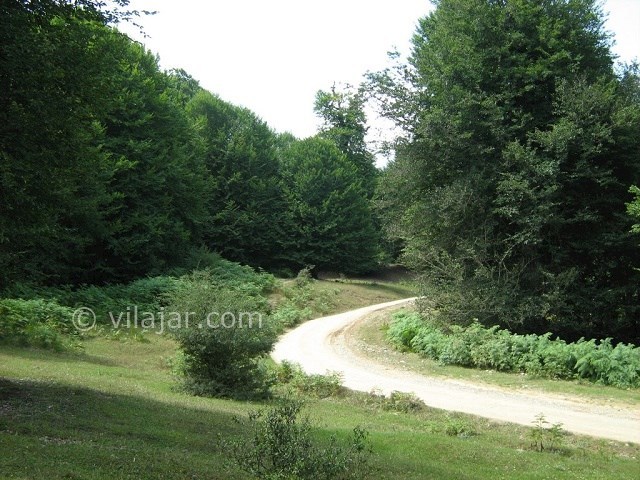 عکس شماره 7 - جاهای دیدنی کلاردشت