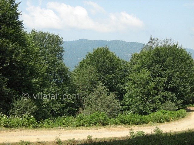 عکس شماره 8 - جاهای دیدنی کلاردشت