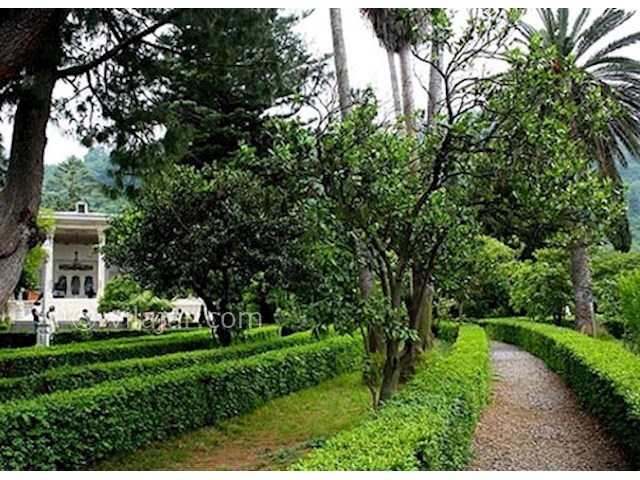 عکس شماره 6 - کاخ مرمر رامسر