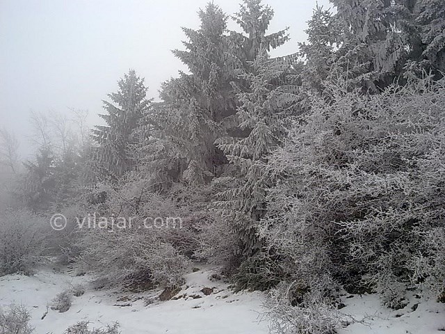 عکس شماره 9 - جاهای دیدنی کلاردشت