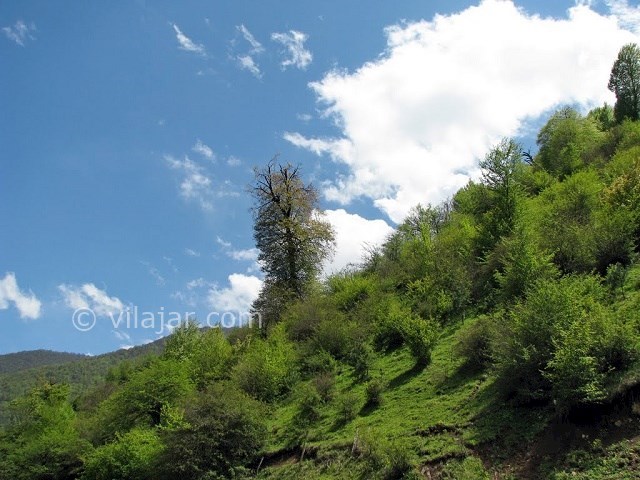 عکس شماره 16 - جاهای دیدنی کلاردشت