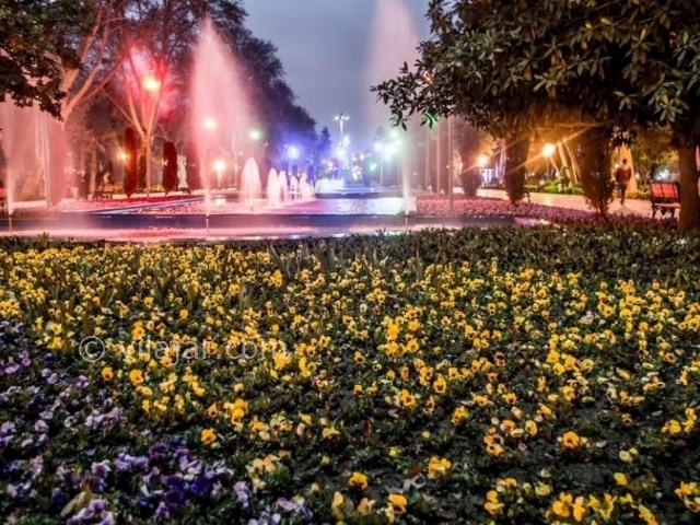 عکس شماره 5 - پارک شهر تهران