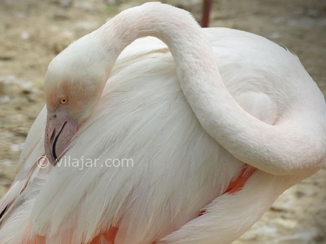 عکس شماره 6 - پارک شهر تهران