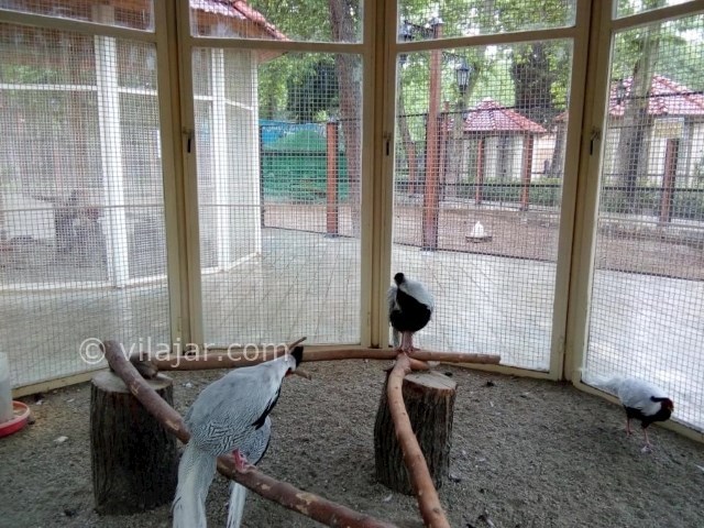 عکس شماره 8 - پارک شهر تهران