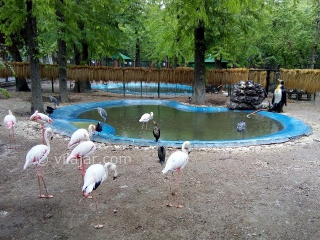 عکس شماره 9 - پارک شهر تهران