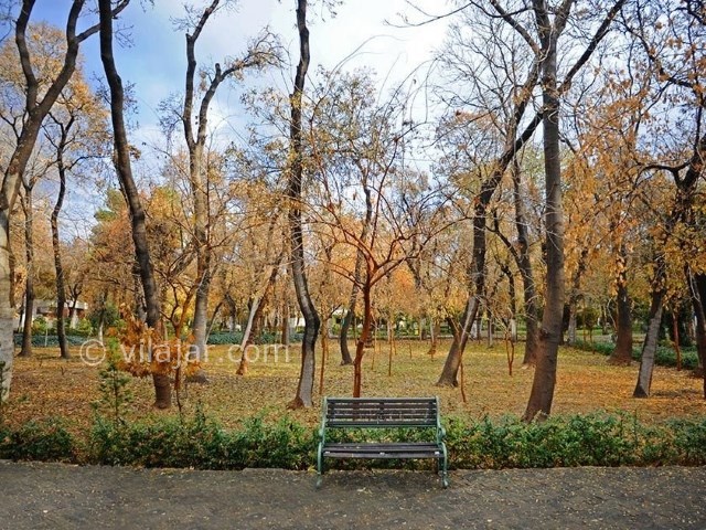 عکس شماره 11 - پارک شهر تهران