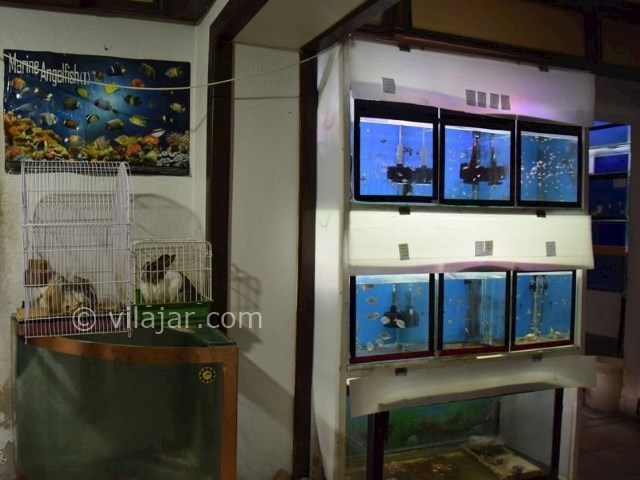 عکس شماره 17 - پارک شهر تهران