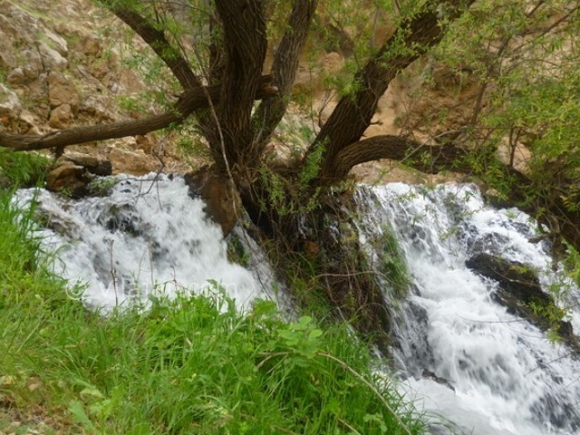 عکس شماره 4 - آبشار لندی اردل