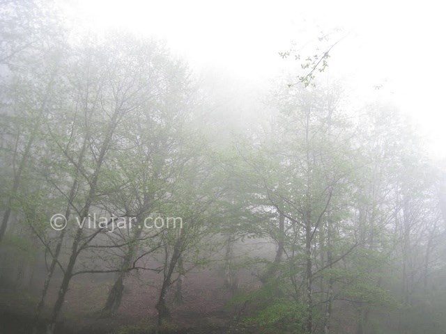 عکس شماره 20 - جاهای دیدنی کلاردشت