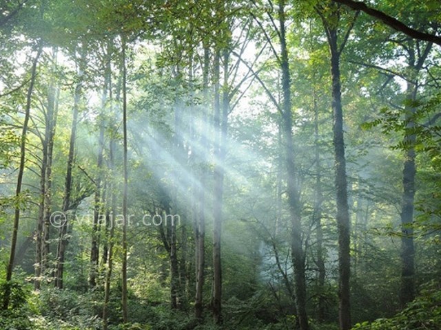 عکس شماره 4 - روستای جعفرآباد