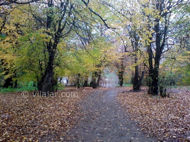 عکس شماره 5 - روستای زرین گل علی آباد کتول