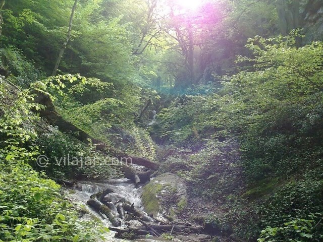 عکس شماره 6 - روستای زرین گل علی آباد کتول