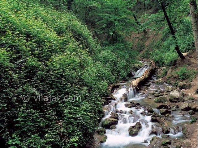 عکس شماره 9 - روستای زرین گل علی آباد کتول