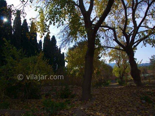 عکس شماره 10 - باغ و عمارت رحیم‌ آباد