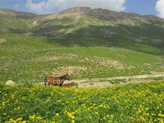 عکس شماره 3 - دشت راق دهدشت
