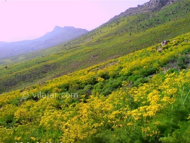 عکس شماره 5 - دشت راق دهدشت
