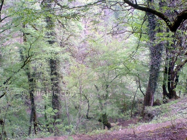 عکس شماره 27 - جاهای دیدنی کلاردشت