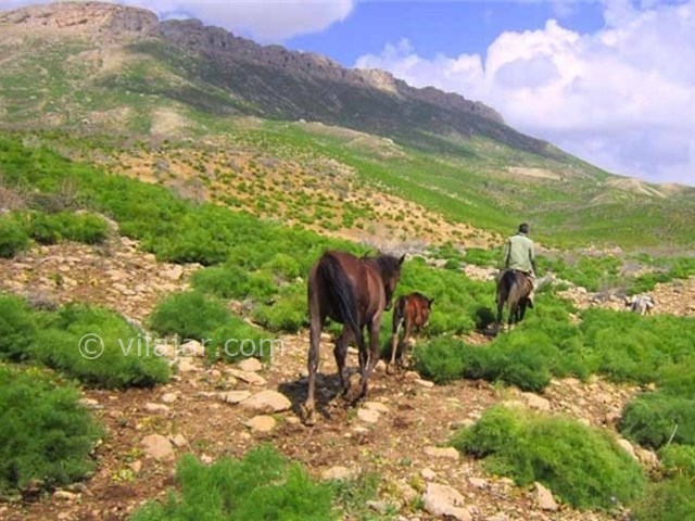 عکس شماره 7 - دشت راق دهدشت