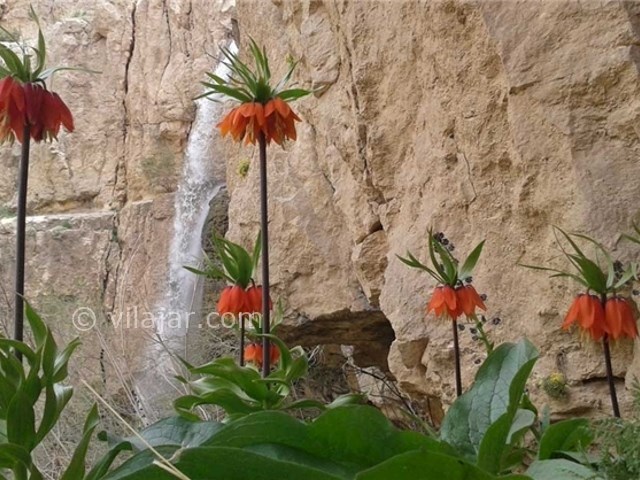 عکس شماره 8 - دشت راق دهدشت