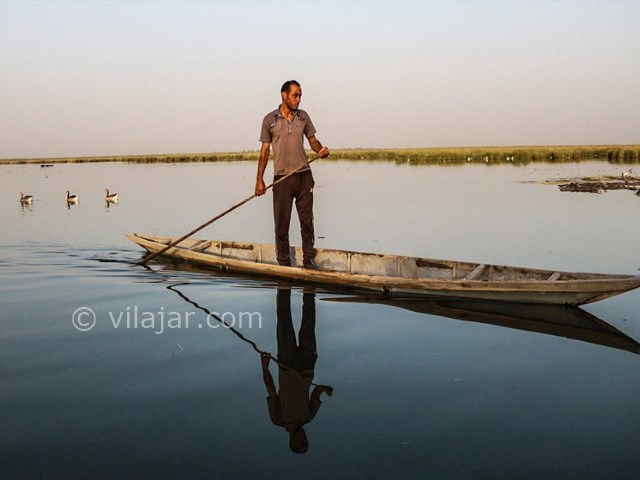 عکس شماره 3 - تالاب حله بوشهر